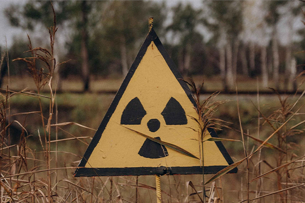 ЧЕРНОБЫЛЬ: ОТ ВОЗРОЖДЕНИЯ ДО УСТОЙЧИВОГО РАЗВИТИЯ.